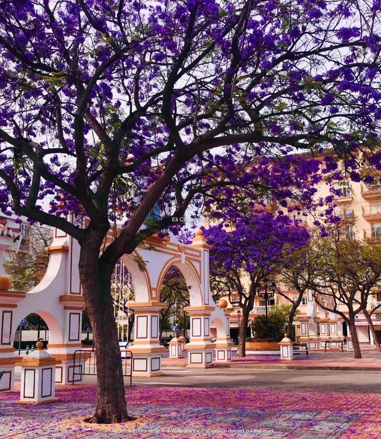 Apartamento Higueronrentals Casa Flora Málaga